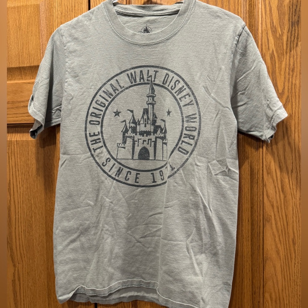 Disney Parks Walt Disney World Since 1971 Castle Graphic T-Shirt Gray Mens Small
